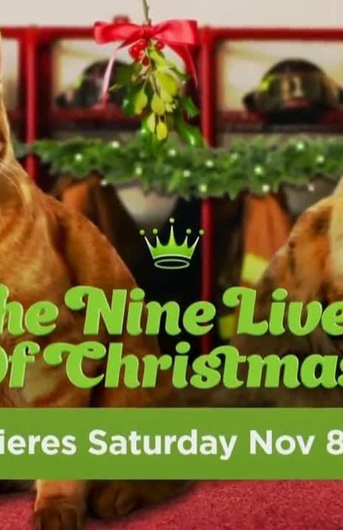 The Nine Lives of Christmas background