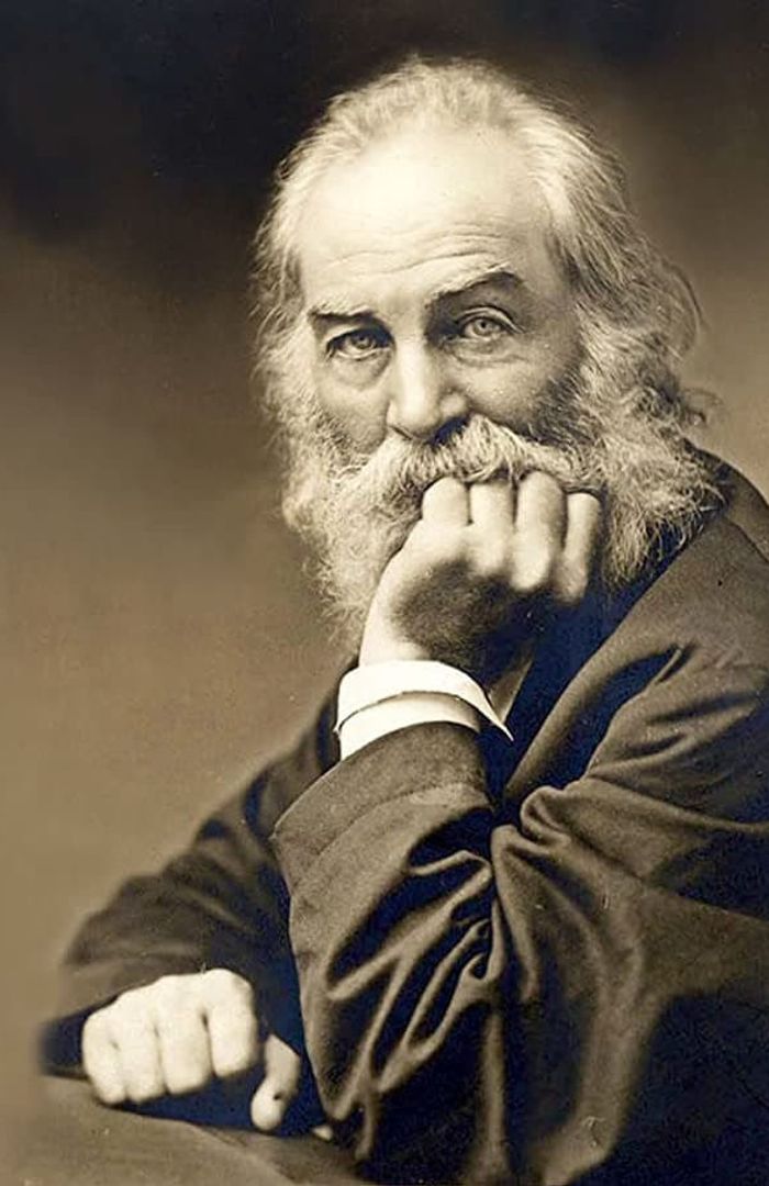 In Search of Walt Whitman background