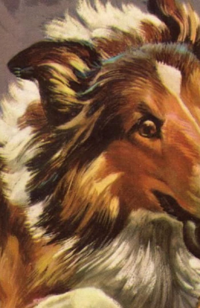 MGM's Lassie background
