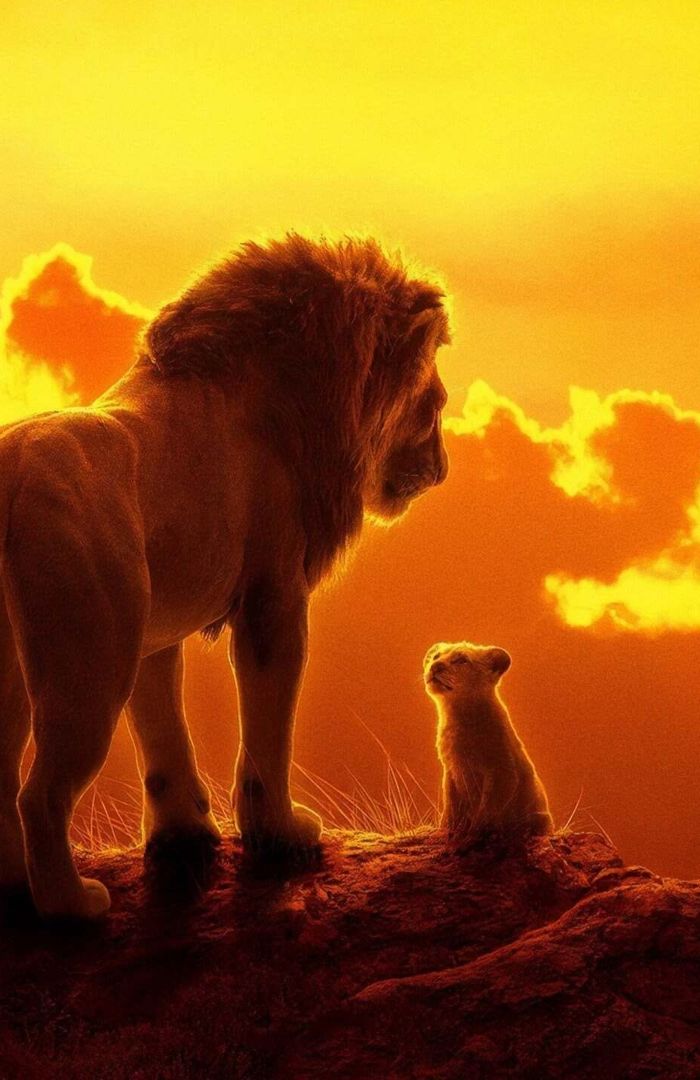 The Lion King (Reboot) background