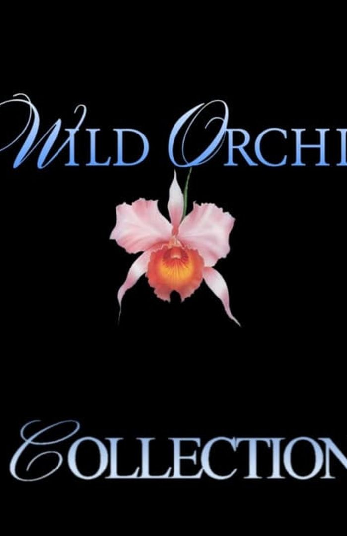 Wild Orchid background