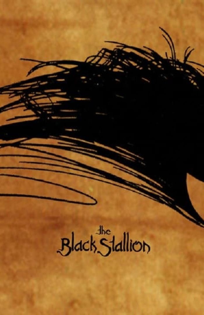The Black Stallion background
