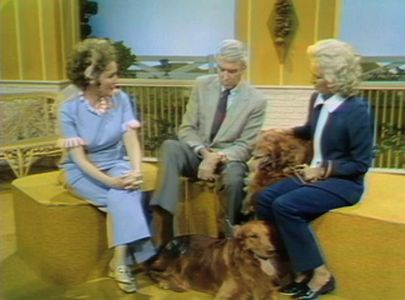 James Stewart, Gloria Stewart, and Betty White in The Pet Set (1971)