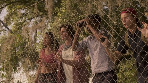 J.D., Madison Bailey, Chase Stokes, and Rudy Pankow in Outer Banks (2020)