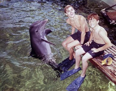 Luke Halpin, Tommy Norden, and Flipper in Flipper (1964)
