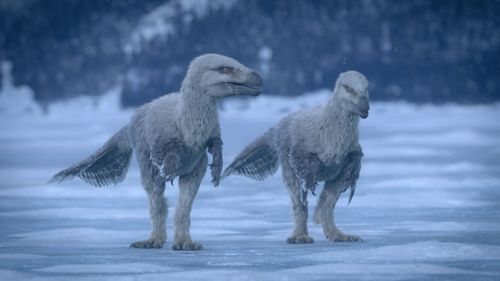 Imperobator Antarctic dinosaurs - from Prehistoric Planet 2 ‘Islands’