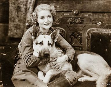 Lois Wilde and Rin Tin Tin Jr. in Caryl of the Mountains (1936)