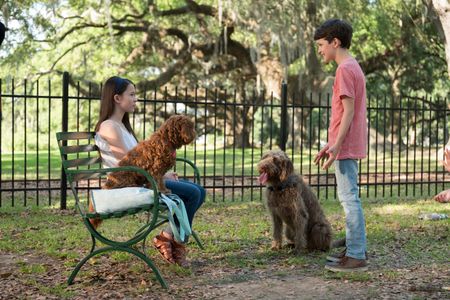 Gabriel Bateman and Madison Horcher in Think Like a Dog (2020)