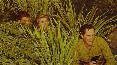 Clayton Moore, Phyllis Coates, and Johnny Sands in Jungle Drums of Africa (1953)