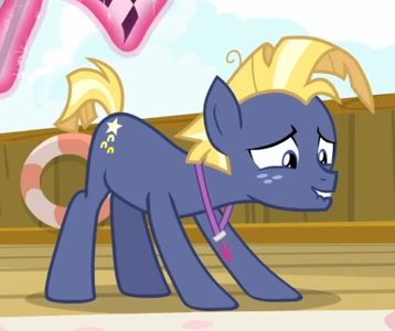 Star Tracker - My Little Pony: Friendship is Magic