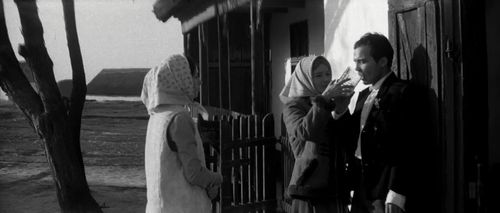Andrea Drahota, József Madaras, and Mari Törőcsik in Silence and Cry (1968)