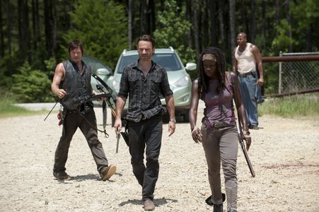 Norman Reedus, Andrew Lincoln, Vincent M. Ward, and Danai Gurira in The Walking Dead (2010)
