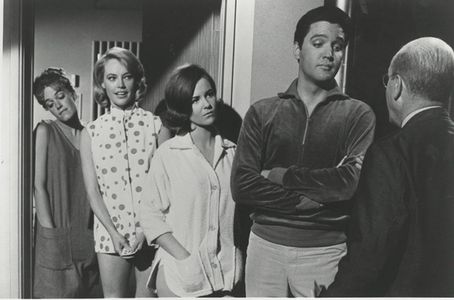 Elvis Presley, Shelley Fabares, Lyn Edgington, John Fiedler, and Chris Noel in Girl Happy (1965)