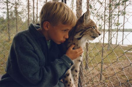 Konsta Hietanen and Väinö in Tommy and the Wildcat (1998)