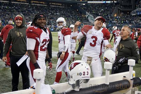 Carson Palmer, Drew Stanton, Patrick Peterson, and Chris Johnson in All or Nothing: A Season with the Arizona Cardinals 