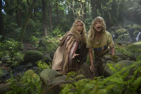 Goldie Hawn and Amy Schumer in Snatched (2017)