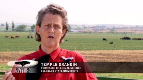Temple Grandin in Nature (1982)