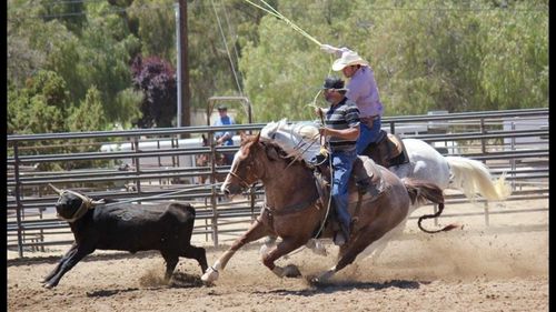 Third Annual Nicky D Memorial Team Roping and Gala
