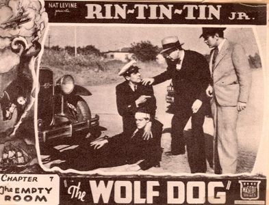 Frankie Darro, Hale Hamilton, Cornelius Keefe, George J. Lewis, and Rin Tin Tin Jr. in The Wolf Dog (1933)