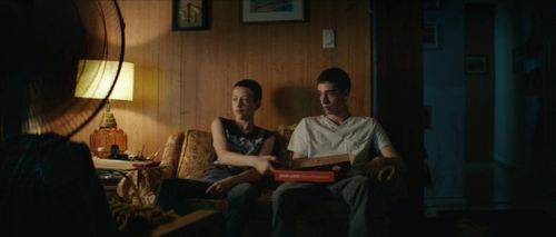Percy Hynes White and Théodore Pellerin in At First Light (2018)