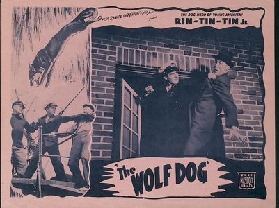 Stanley Blystone, Tom London, George J. Lewis, Max Wagner, and Rin Tin Tin Jr. in The Wolf Dog (1933)