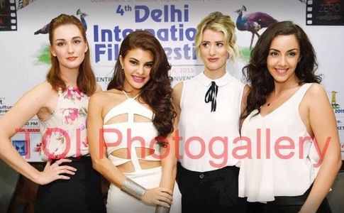 Delhi Film Festival Press Conference