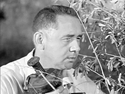 Robert Stevenson in Highway Patrol (1955)
