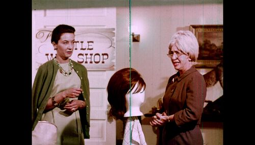 Elizabeth Davis in The Gruesome Twosome (1967)