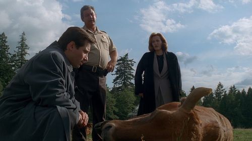 Gillian Anderson, David Duchovny, and Ernie Lively in The X-Files (1993)
