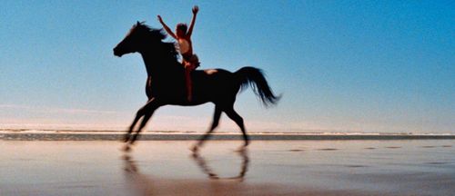 Kelly Reno and Cass-Olé in The Black Stallion (1979)