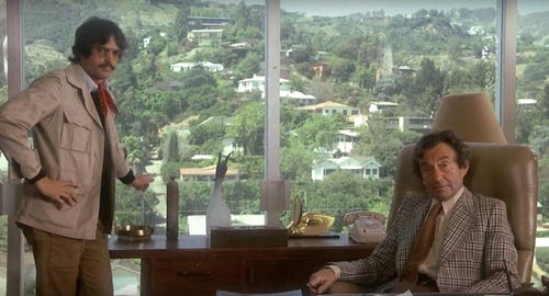 Tony Bill and George Justin in Shampoo (1975)