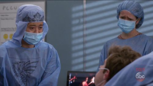 Alan Chow on Grey's Anatomy Season 14 Episode 15 (