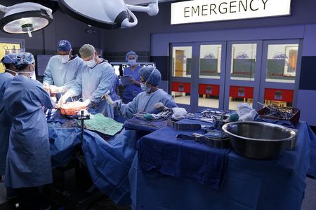 Kevin McKidd, James Pickens Jr., and Bokhee An in Grey's Anatomy (2005)