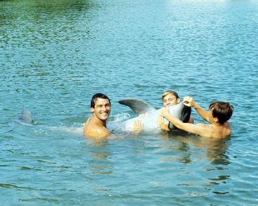 Luke Halpin, Brian Kelly, Tommy Norden, and Flipper in Flipper (1964)