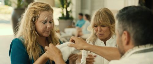 Goldie Hawn, Daniel Bess, and Amy Schumer in Snatched (2017)