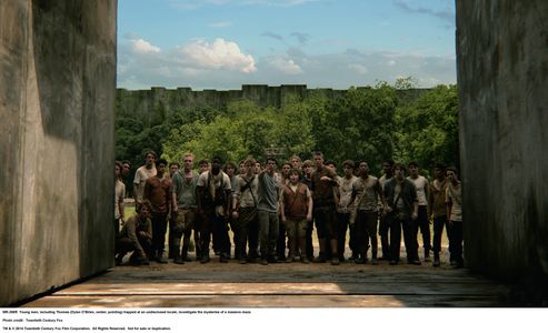 Thomas Brodie-Sangster, Will Poulter, Dylan O'Brien, Ki Hong Lee, and Blake Cooper in The Maze Runner (2014)