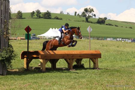 Competing in Junior Young Rider Prelim Championships 2013. Millbrook, NY
