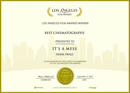 It's a Mess, Best Cinematography, 2018