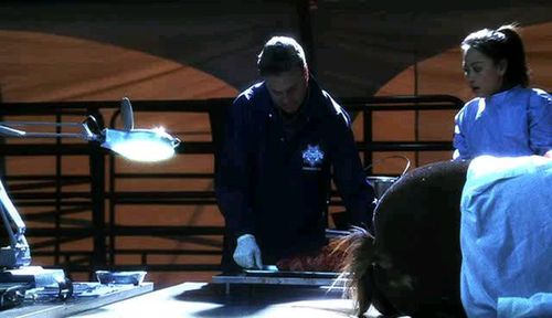 William Petersen and Doan Ly in CSI: Crime Scene Investigation (2000)