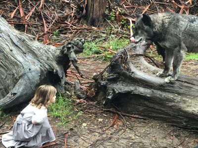 Working with a wolf on the set of Out of My Mind - Maisy Kay