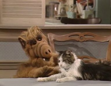 Paul Fusco and Lucky in ALF (1986)
