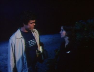 Pamela Franklin and Doug Heyes Jr. in The Hardy Boys/Nancy Drew Mysteries (1977)