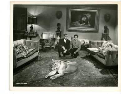 Herman Cohen, Ralph Helfer, and Zamba in Black Zoo (1963)