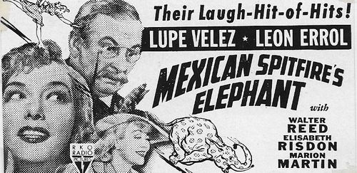 Leon Errol, Marion Martin, and Lupe Velez in Mexican Spitfire's Elephant (1942)