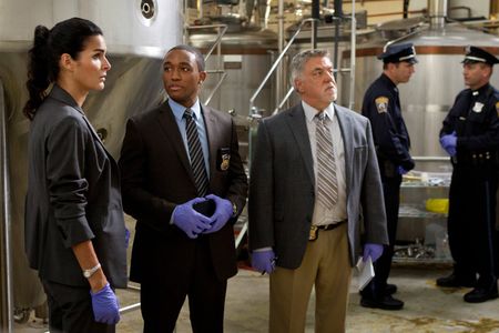 Angie Harmon, Bruce McGill, and Lee Thompson Young in Rizzoli & Isles (2010)