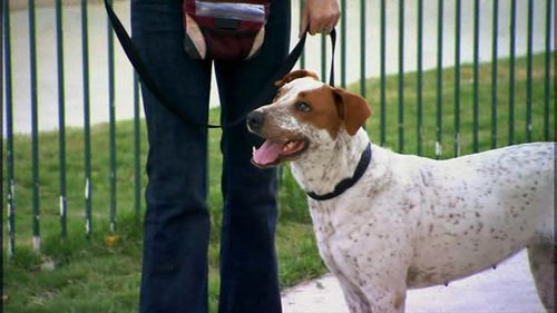 Victoria Stilwell and Peanut Butter in It's Me or the Dog (2008)
