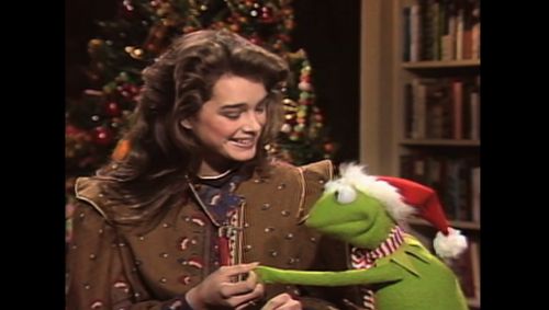 Brooke Shields and Kermit the Frog in Pretty Baby: Brooke Shields (2023)