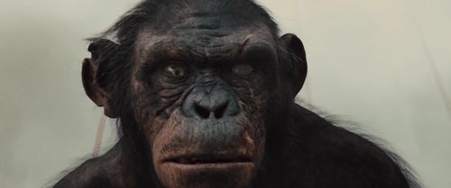 Christopher Gordon in Rise of the Planet of the Apes (2011)