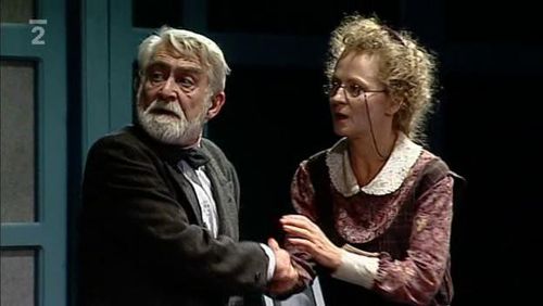 Ilja Racek and Simona Stasová in Popel a pálenka (2001)