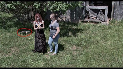 Short film The Price Screen Grab as Elizabeth ...Kitty in shot lol with Harvest Moon Motion Pictures and Television